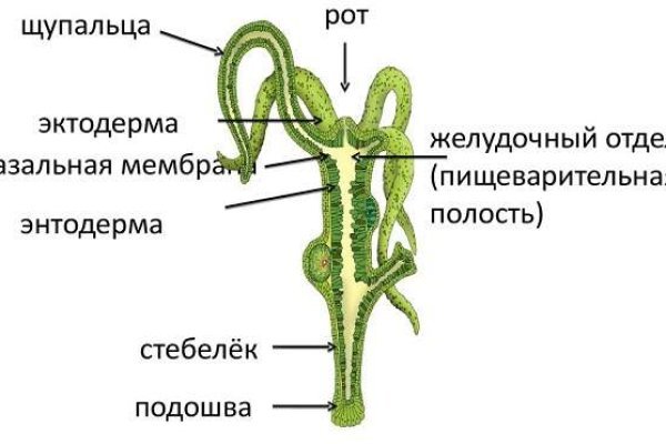 BlackSprut ссылка на сайт тор браузере