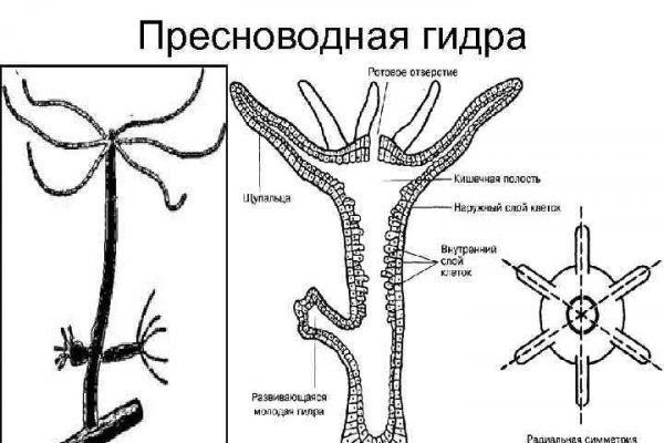 Проверочный код на меге даркнет