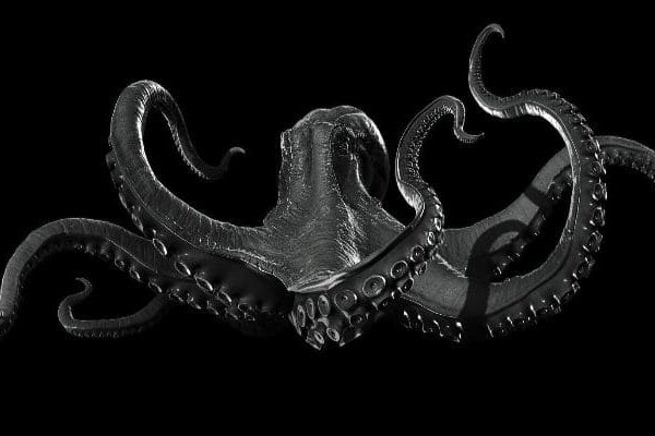 Kraken tor link