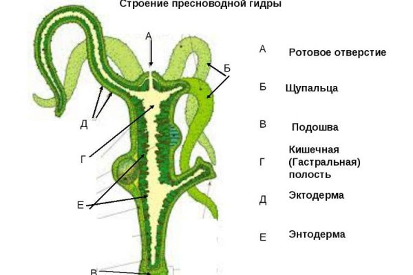 Площадка omg ссылка