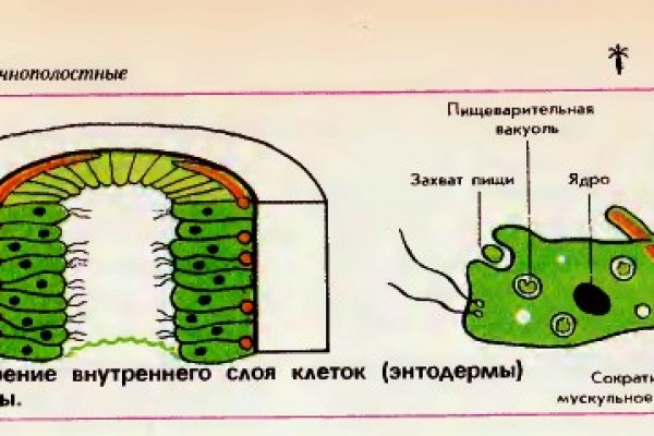 Ссылка на сайт кракен онион 2krn.cc