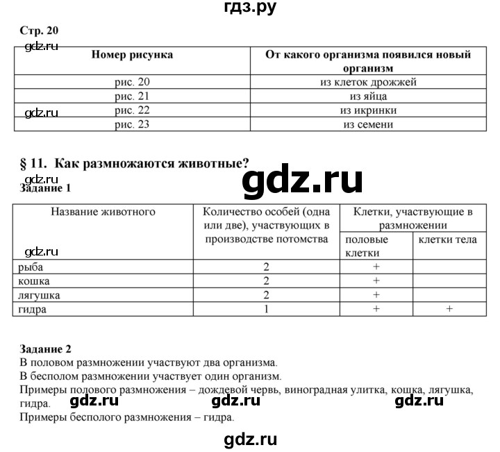 Смотреть картинки сайт мега